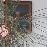Hotel Masouriblu Boutique