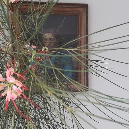 Hotel Masouriblu Boutique