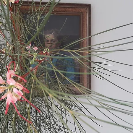 Hotel Masouriblu Boutique