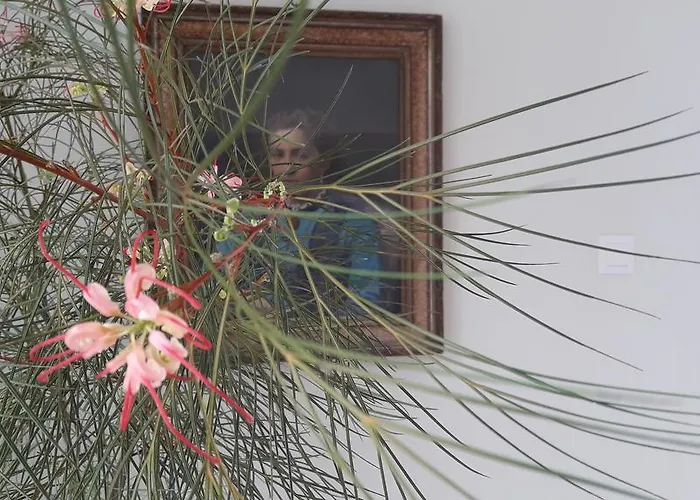 Hotel Masouriblu Boutique